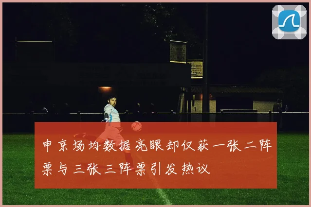 申京场均数据亮眼却仅获一张二阵票与三张三阵票引发热议